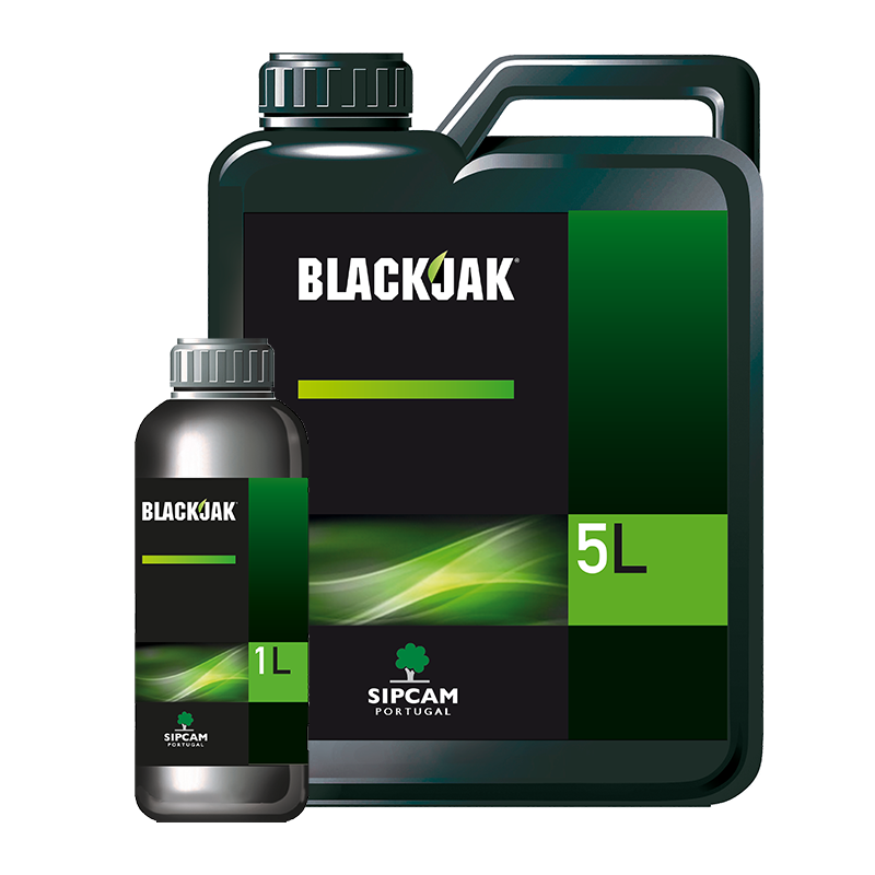 BLACKJAK - Sipcam Portugal